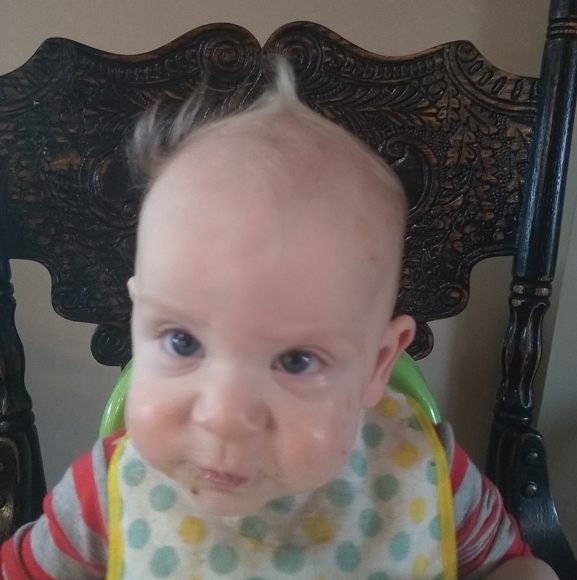 Meet your Posher, Chestyn - Picture 1 of 1